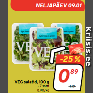 Allahindlus - VEG salatid, 100 g