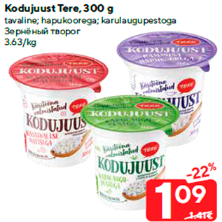 Allahindlus - Kodujuust Tere, 300 g