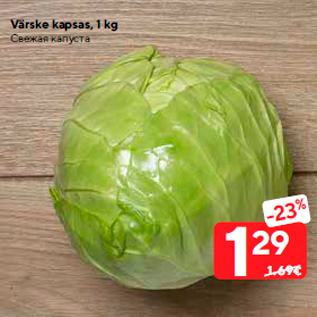 Allahindlus - Värske kapsas, 1 kg