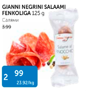 Allahindlus - GIANNI NEGRINI SALAAMI FENKOLIGA 125 G