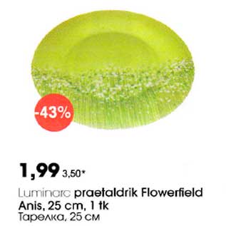 Allahindlus - Luminaro praetaldrik Flowerfield Anis,25cm, 1tk