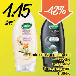 Allahindlus - Radox dušigeel, 250 ml • Soothe • meestele