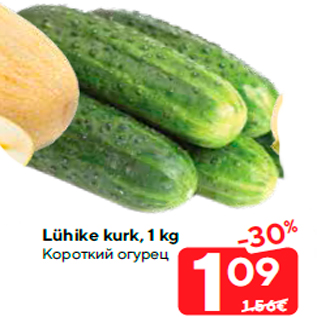 Allahindlus - Lühike kurk, 1 kg