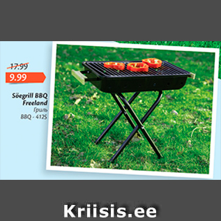 Allahindlus - Söegrill BBQ Freeland