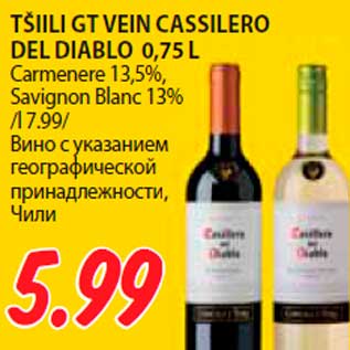 Allahindlus - TŠIILI GT VEIN CASSILERO DEL DIABLO 0,75 L