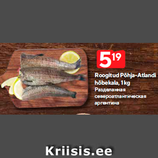 Allahindlus - Roogitud Põhja-Atlandi hõbekala, 1 kg