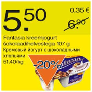 Allahindlus - Fantasia kreemjogurt šokolaadihelvestega