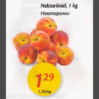 Allahindlus - Nektariinid,l kg