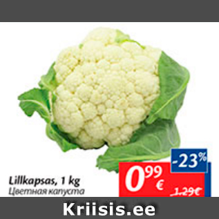 Allahindlus - Lillkapsas, 1 kg