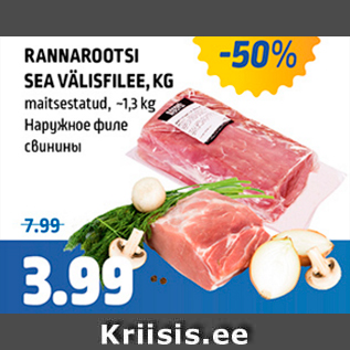 Allahindlus - RANNAROOTSI SEA VÄLISFILEE, KG