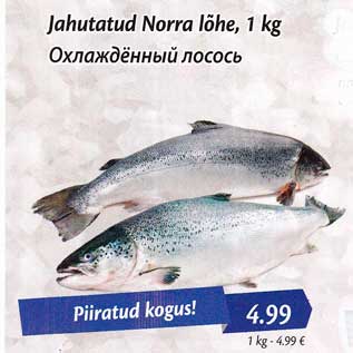 Allahindlus - Jahutatud Norra lõhe, 1 kg