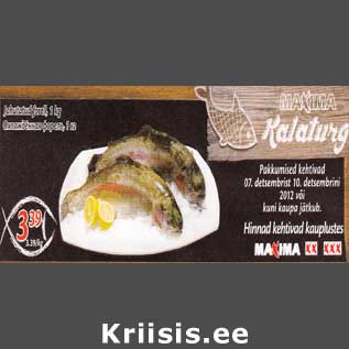 Allahindlus - Jahutatud forel, 1 kg