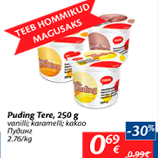 Allahindlus - Puding Tere, 250 g