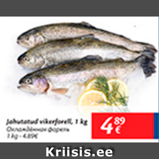 Allahindlus - Jahutatud vikerfilee, 1 kg