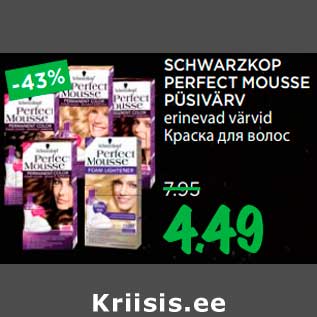 Allahindlus - SCHWARZKOP PERFECT MOUSSE PÜSIVÄRV