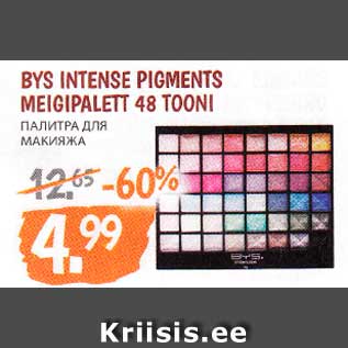 Allahindlus - BYS INTENSE PIGMENTS MEIGIPALETT 48 TOONI