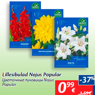 Allahindlus - Lillesibulad Nojus Popular