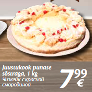 Allahindlus - Juustukook punase sõstraga, 1 kg