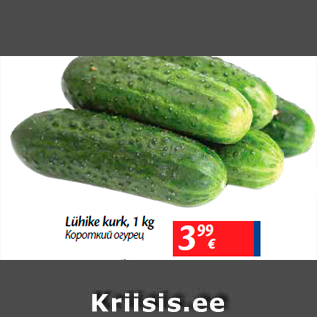 Allahindlus - Lühike kurk, 1 kg