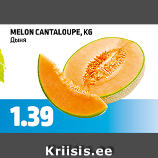 Allahindlus - MELON CANTALOUPE, KG