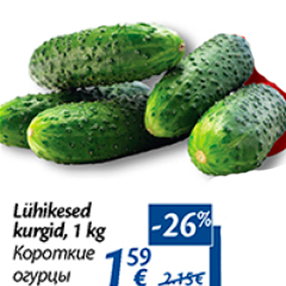 Allahindlus - Lühikesed kurgid, 1 kg