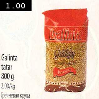 Allahindlus - Galinta tatar