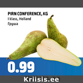 Allahindlus - PIRN CONFERENCE, KG