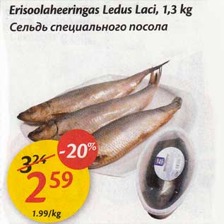 Allahindlus - Erisoolaheeringas Ledus Laci, 1,3 kg