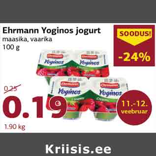 Allahindlus - Ehrmann Yoginos jogurt maasika, vaarika 100 g