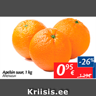 Allahindlus - Apelsin suur, 1 kg