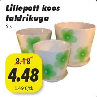 Allahindlus - Lillepott taldrikuga 3 tk