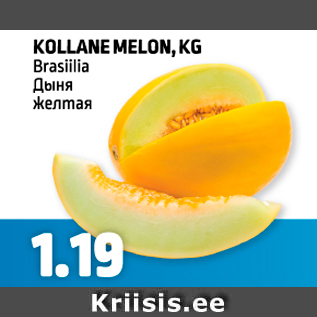 Allahindlus - KOLLANE MELON, KG