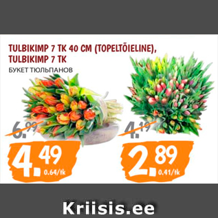 Allahindlus - TULBIKIMP 7 TK 40 CM (TOPELTÕIELINE), TULBIKIMP 7 TK