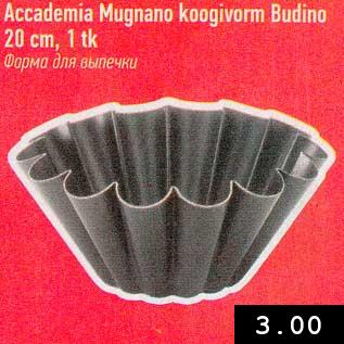 Allahindlus - Accademia Mugnano koogivorm Budino, 20 cm