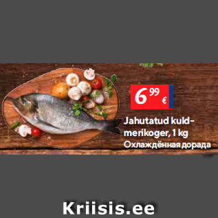 Allahindlus - Jahutatud kuld-merikoger, 1 kg