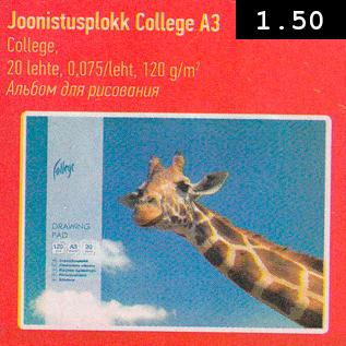 Allahindlus - Joonistusplokk College A3