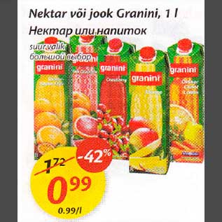 Allahindlus - Nektar või jook Granini, 1 l