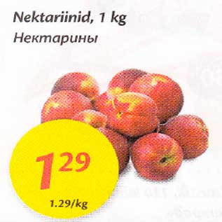 Allahindlus - Nektariinid, 1 kg