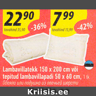 Allahindlus - Lambavillatekk 150 x 200 cm või tepitud lambavillapadi 50 x 60 cm, 1 tk