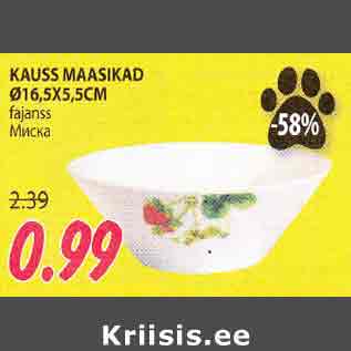 Allahindlus - KAUSS MAASIKAD d 16,5х5,5см fajanss