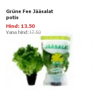 Allahindlus - Grüne Fee Jääsalat potis