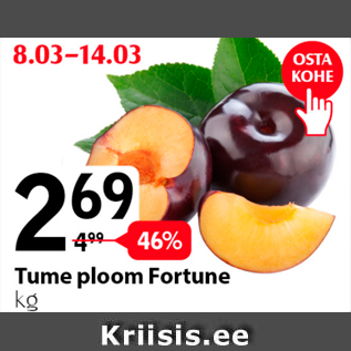 Allahindlus - Tume ploom Fortune kg