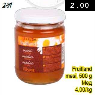 Allahindlus - Fruitland mesi, 500 g