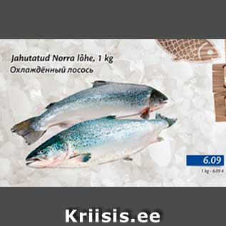 Allahindlus - Jahutatud Norra lõhe, 1 kg