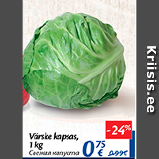 Allahindlus - Värske kapsas, 1 kg