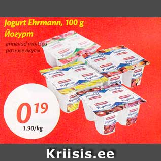 Allahindlus - Jogurt Ehrmann, 100 g