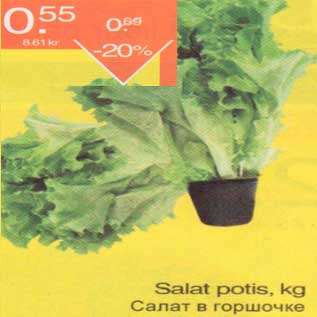 Allahindlus - Salat potis