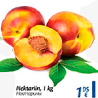 Allahindlus - Nektariin, 1 kg