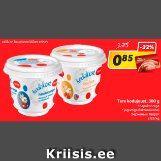 Allahindlus - Tere kodujuust, 300 g • hapukoorega • jogurtiga (laktoosivaba)