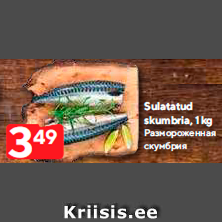 Allahindlus - Sulatatud skumbria, 1 kg